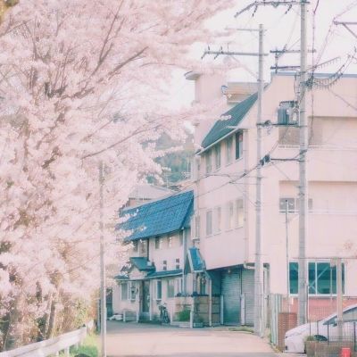 怪物进化之旅游戏下载
