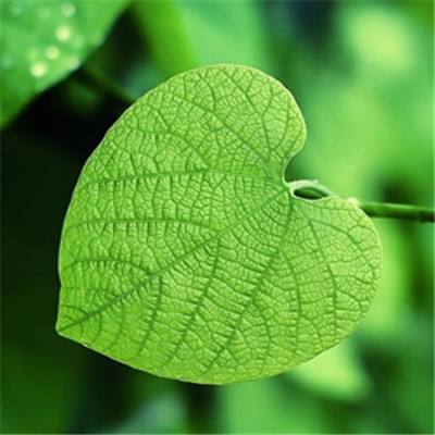 汉武王朝破解版下载
